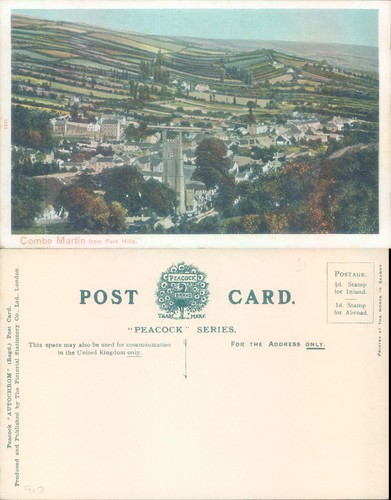 Combe martin from park - combe,