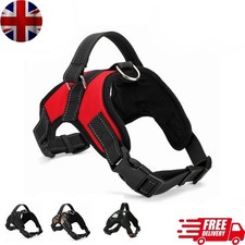 Dog Harness No Pull For Small