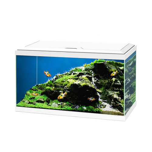 58l aquarium led freshwater - 58l,