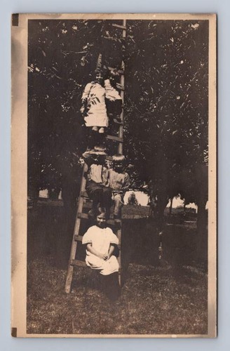 Little kids sitting orchard - little,