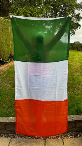 Pristine ireland irish flag - pristine,