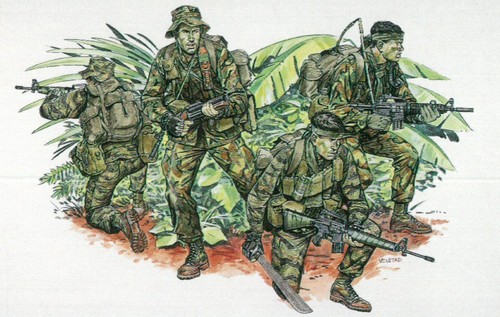 Dragon scale vietnam war - vietnam,