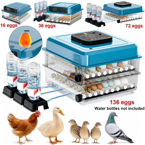 Fully automatic incubator - fully,