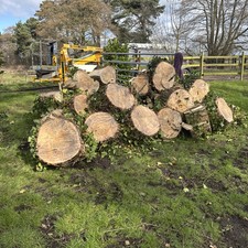 Firewood logs wood log - logs,