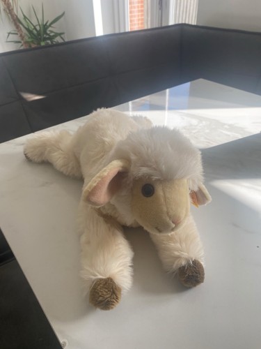 Genuine steiff boeky lamb - steiff, –