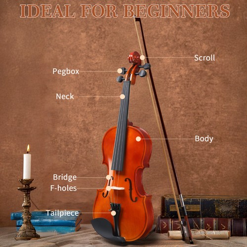Acoustic violin size - 4/4,