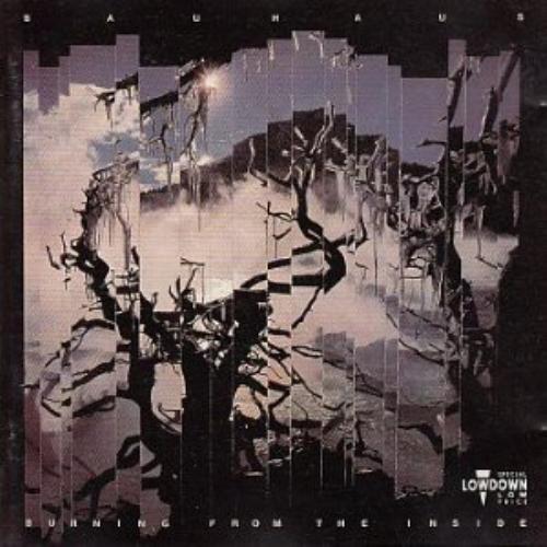 Bauhaus burning from the - :,
