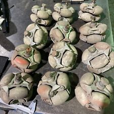 Gravity POLYDIRECTIONAL ROLLER Casters Transfer Conveyor  Omni Wheels