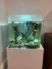 Biorb Cube 60L LED Fish Tank