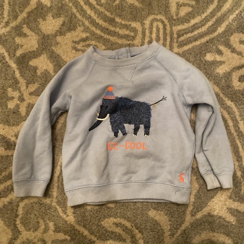 Joules baby boy sweatshirt - joules,