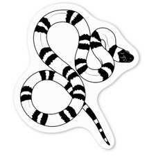 'Milk Snake' Decal Stickers
