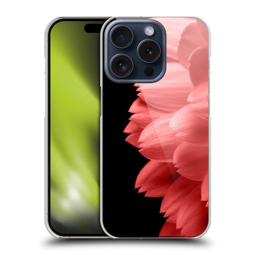 Official pldesign flower - official,