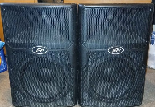 Peavey pvx p12 - 12, inch
