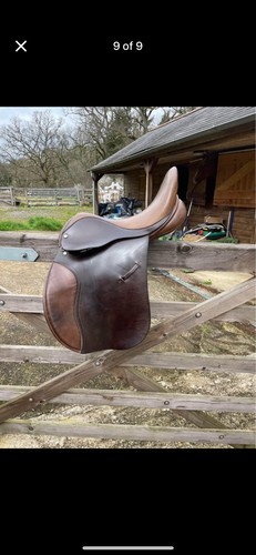 Ideal general purpose saddle - purpose,
