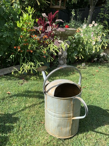 This vintage galvanised - this,