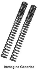 Fork progressive springs kit