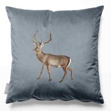 Luxury Designer Eco-Velvet