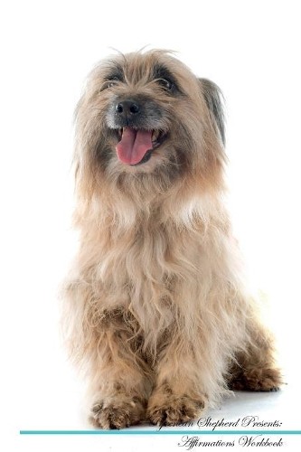 Pyrenean shepherd affirmations - pyrenean,