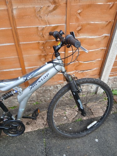 Mountain bike - mountain,
