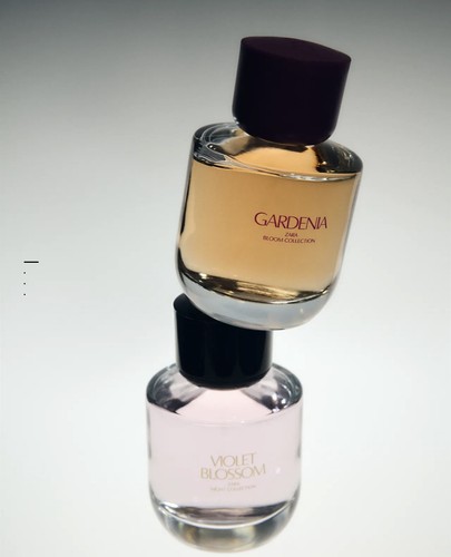 Violet blossom gardenia zara - violet,