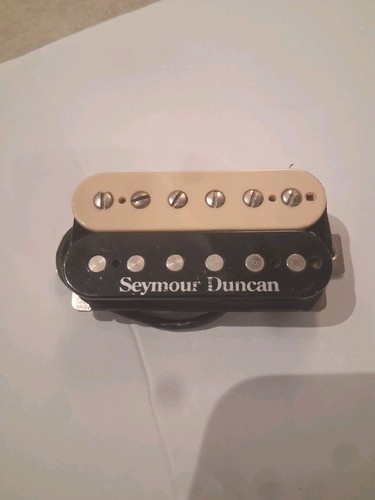 Seymour duncan pg1n - seymour,