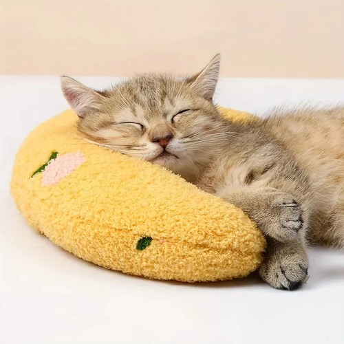 Soft fluffy cat - soft,