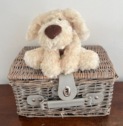 Matalan floppy puppy dog with - matalan,