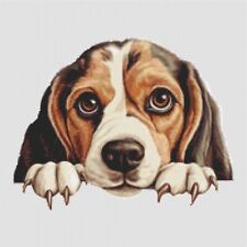 Beagle Puppy Dog. Large