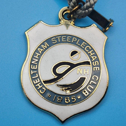 Cheltenham horse racing - cheltenham,