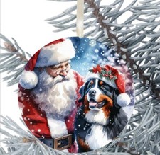 Bernese Mountain Dog Hanging