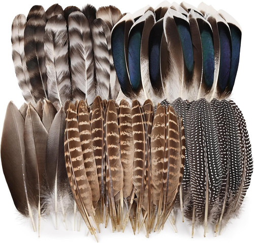 Pcs natural pheasant - 40,