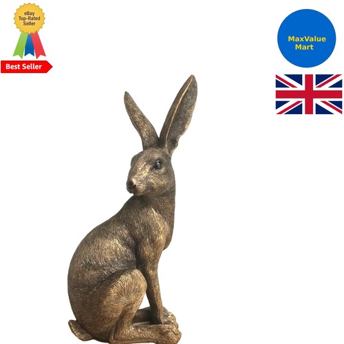 22cm bronzed reflection - 22cm,