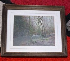 'Winter in Alyth Den'