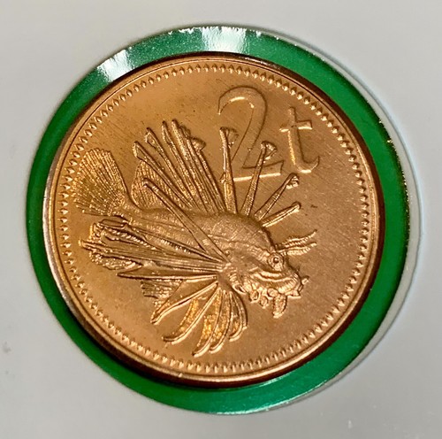 2004 papua new guinea toea - 2004,