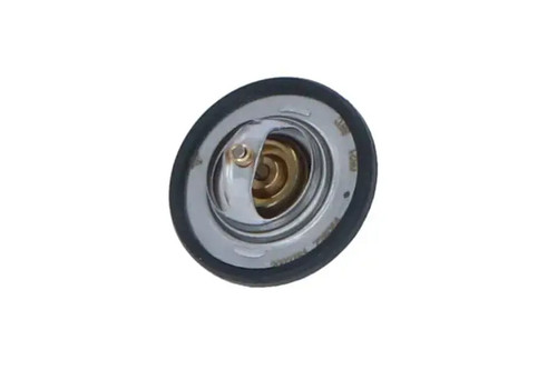 Thermostat without housing