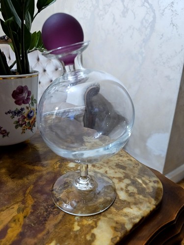 Mglass globe glass decanter - mglass,