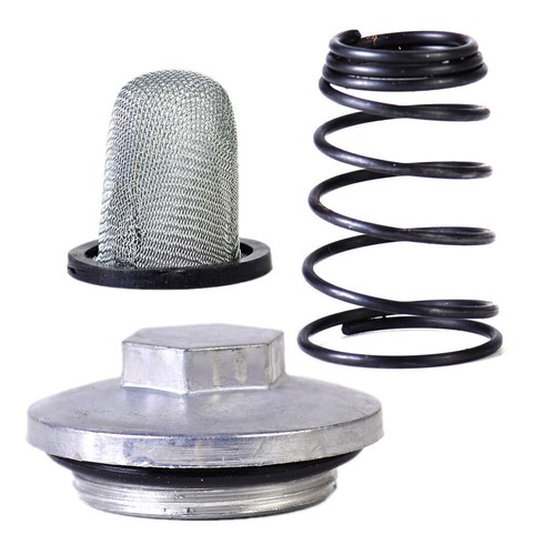 Scooter oil filter - oil,
