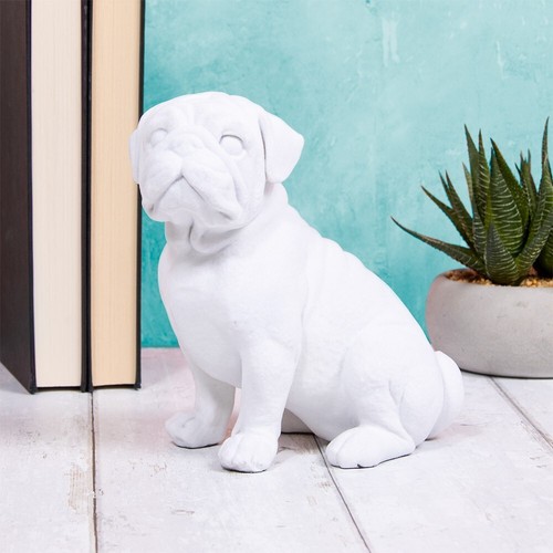 White pug dog - white, sitting