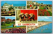 Vintage Multi-View Postcard of