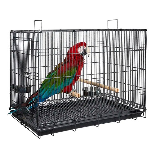 Liberta large folding parrot - folding,