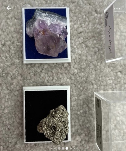 British fossils crystal set - fossils,
