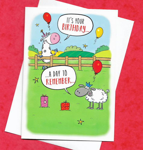 Birthday card joke male female - card,
