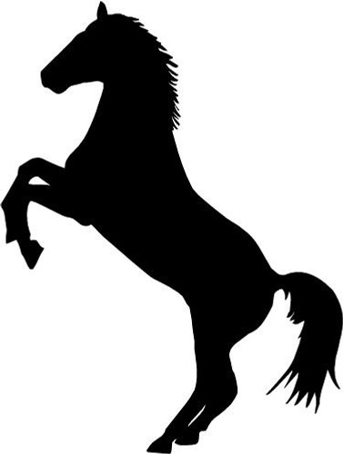 Horse vinyl car van - car, trailer