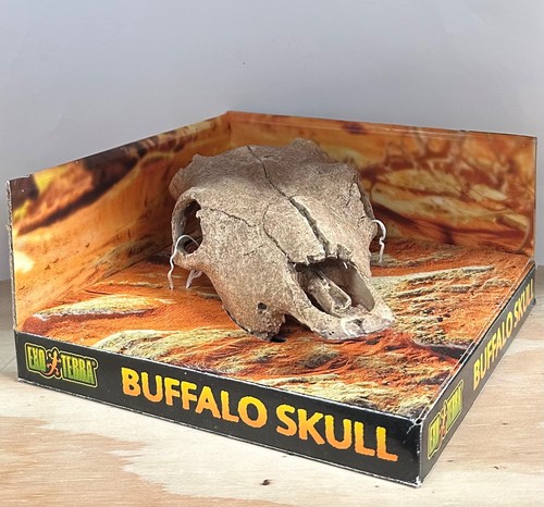 Exo terra buffalo skull - exo,