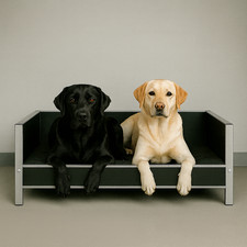 Chew Proof Heavy Duty Raised