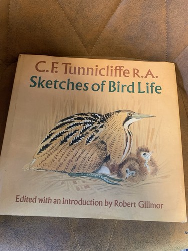 Sketches bird life - of, c