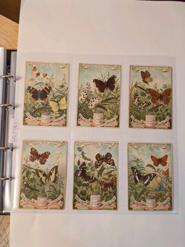 Liebig set f516 trade cards - liebig,
