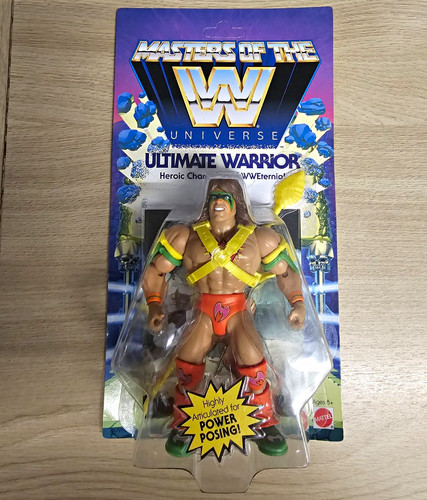 Masters the wwe - the,
