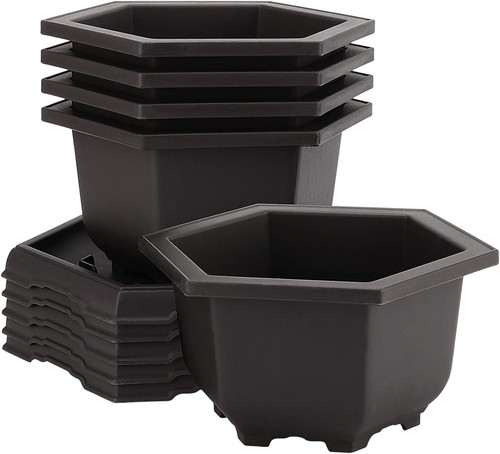Pack bonsai pots hexagon - bonsai, pots,