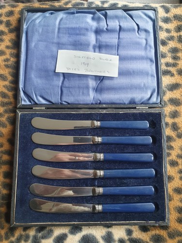 Silver 1919 set - blue, handle